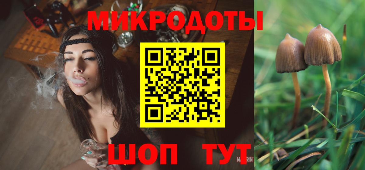 Псилоцибиновые грибы мицелий Томск